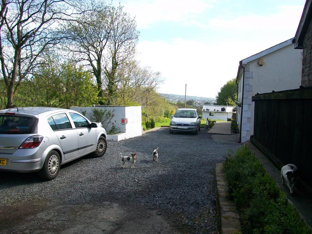 Bed and Breakfast Bryncoch Llannon Esterno foto